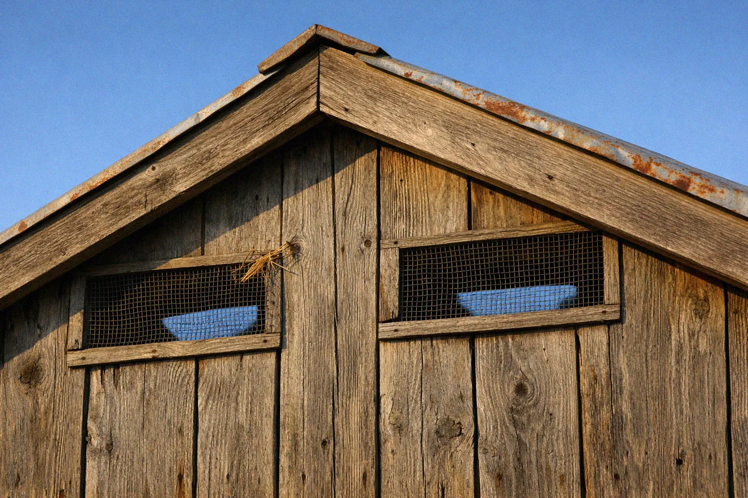 Ventilation openings near the roofline of a goat barn