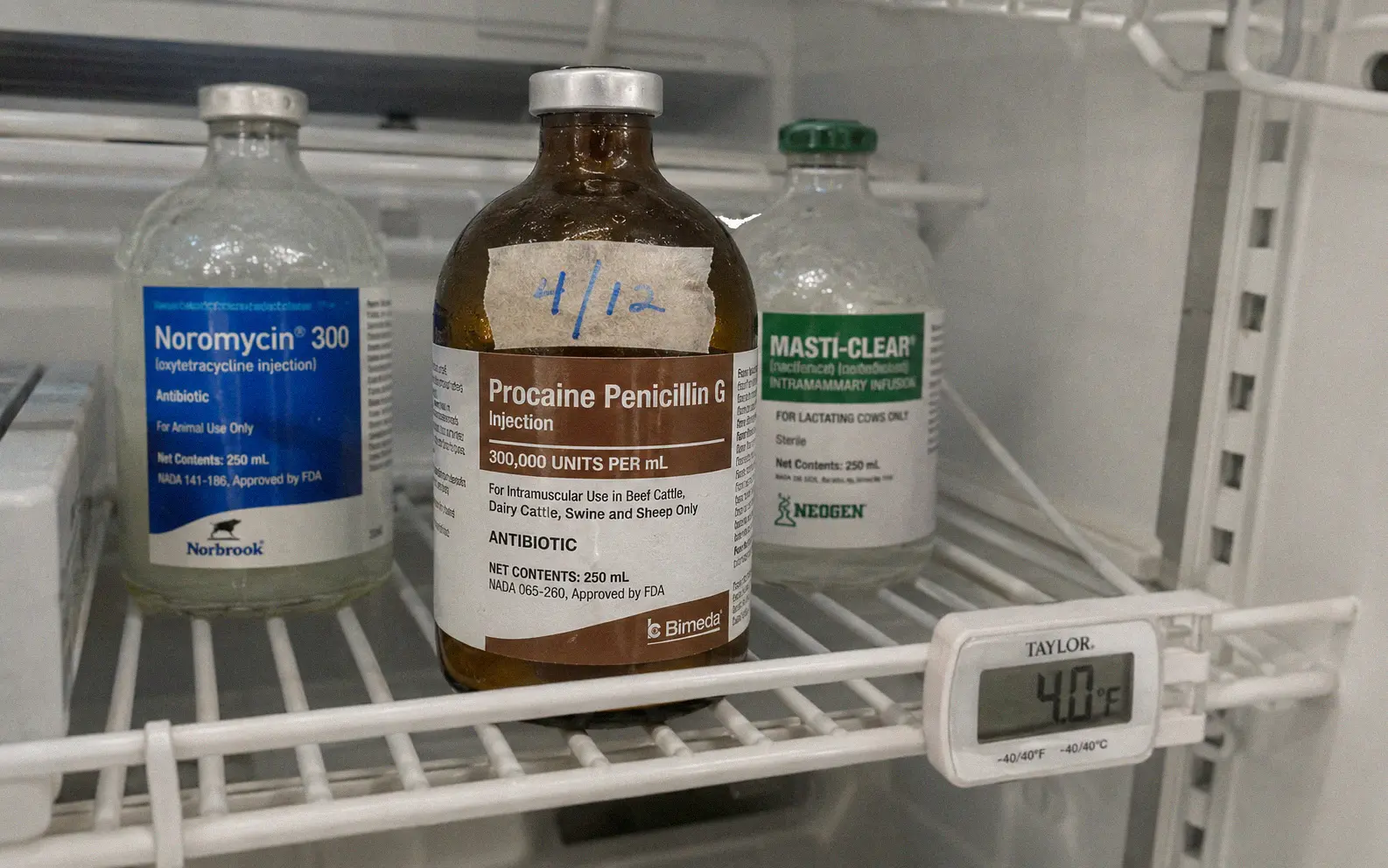 Penicillin bottle stored properly in a barn refrigerator