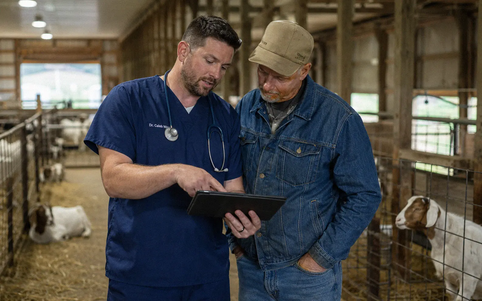 Veterinarian discussing treatment options with a goat farmer