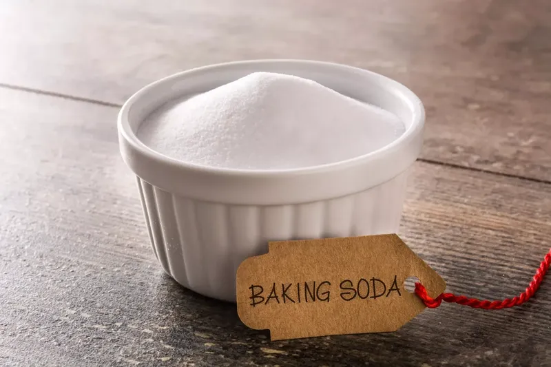 A goat owner examining baking soda safety for goat urinary health