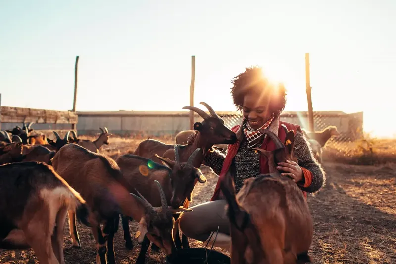 Can Contact With Goats Cause Diarrhea in Humans? Causes, Symptoms, and Treatment Options