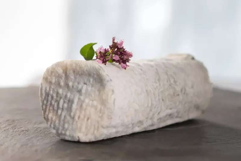 Can Goat Cheese Make You Bloated? A Complete Guide for Goat Owners