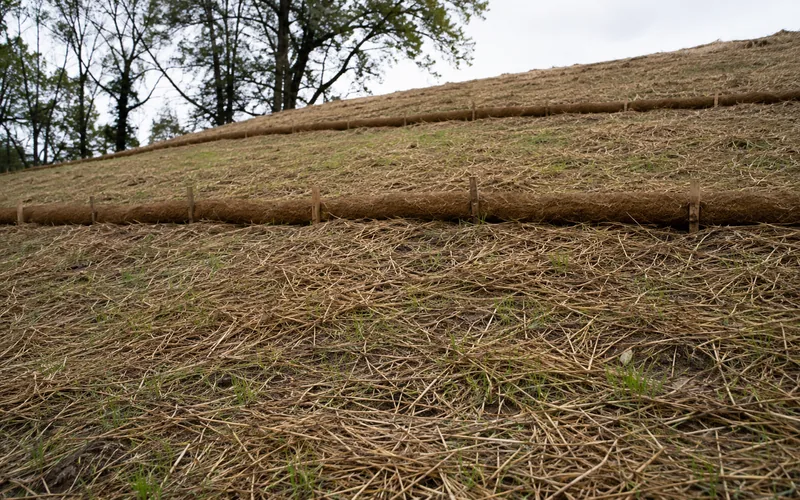 A recovering slope with straw mulch, emerging seedlings, and coir erosion-control logs across the contour