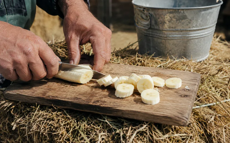 A farmer chopping a peeled banana into bite-sized pieces on a wooden board beside a feed bucket