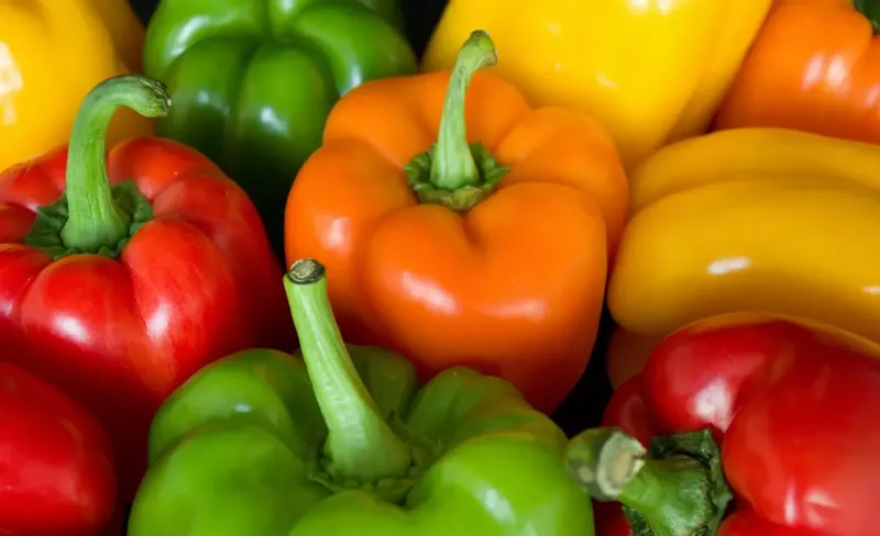 Can Goats Eat Bell Peppers? Everything You Need to Know