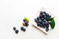 Can Goats Eat Blueberries? How to Feed It the Right Way