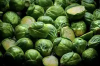 Can Goats Eat Brussels Sprouts? Safe Portions, Risks, and Prep