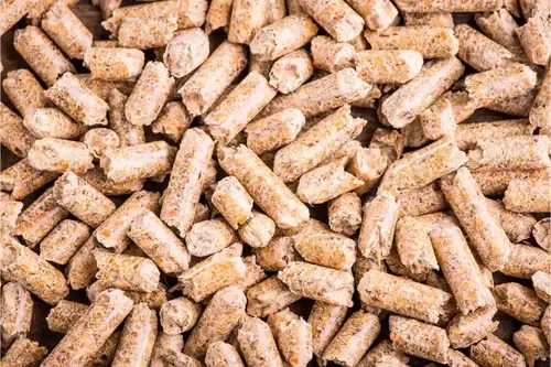 Can Goats Eat Calf Starter Pellets? The Dangers Explained