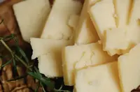 Can Goats Eat Cheese? The Real Risks Dairy Poses to Your Herd