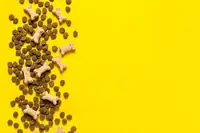 Can Goats Eat Dog Food? Why This Food Is Dangerous for Your Herd