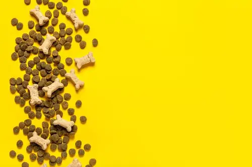 Can Goats Eat Dog Food?