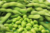 Can Goats Eat Edamame Shells? How to Feed It the Right Way