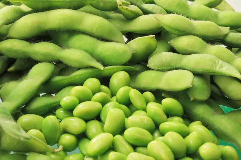 Can Goats Eat Edamame Shells?