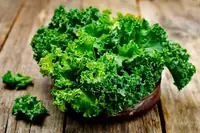 Can Goats Eat Kale? Safe Portions and Health Benefits