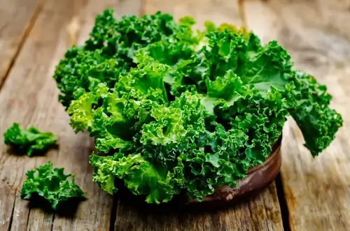 Can Goats Eat Kale? Safe Portions and Health Benefits