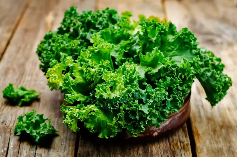 Can Goats Eat Kale?