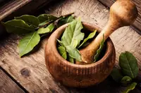 Can Goats Eat Laurel Leaves? Benefits, Portions, and How to Feed
