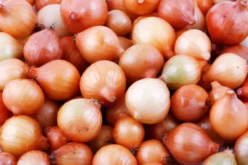 Can Goats Eat Onions? Safety, Risks, and What Owners Should Know