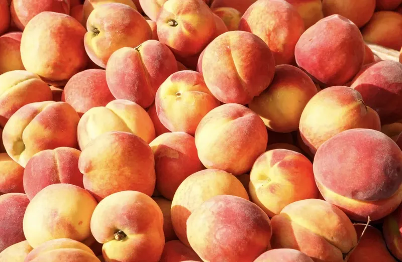 Can Goats Eat Peaches?