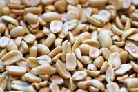 Can Goats Eat Peanuts? How to Feed It the Right Way
