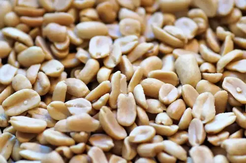 Can Goats Eat Peanuts? How to Feed It the Right Way