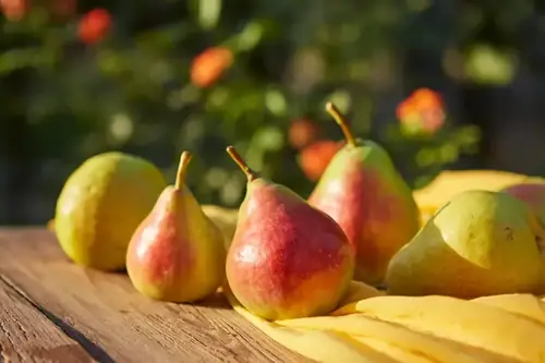 Can Goats Eat Pears? Everything You Need to Know