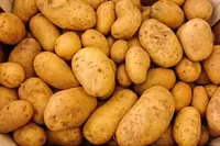 Can Goats Eat Potatoes? Portions, Prep, and Precautions