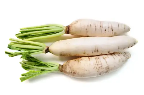 Can Goats Eat Radishes? Everything You Need to Know