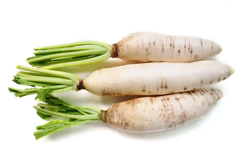 Can Goats Eat Radishes?