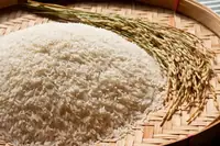 Can Goats Eat Rice? Moderation Rules for Goat Owners