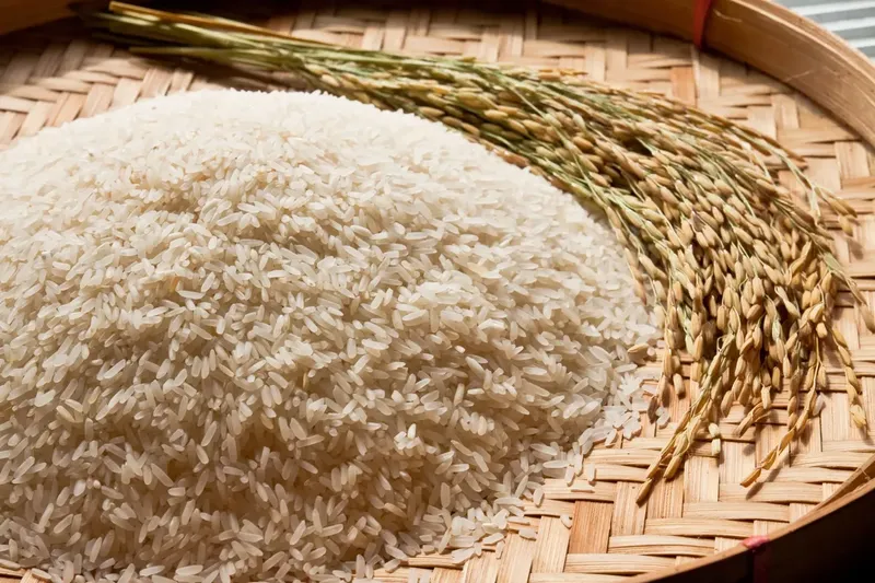 Can Goats Eat Rice?
