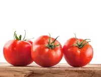 Can Goats Eat Tomatoes? Benefits, Portions, and How to Feed