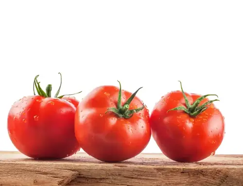 Can Goats Eat Tomatoes? Benefits, Portions, and How to Feed