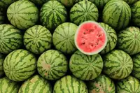 Can Goats Eat Watermelon? Benefits, Portions, and How to Feed