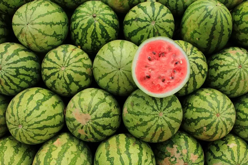Can Goats Eat Watermelon?
