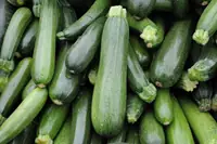 Can Goats Eat Zucchini? What You Need to Know Before Feeding