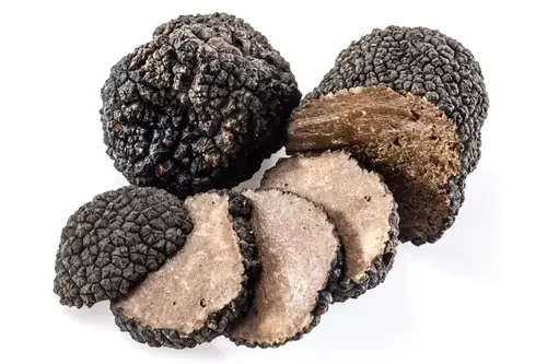Can Goats Find Truffles? What Every Goat Owner Should Know