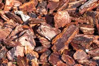 Can Pine Chips Be Used As Bedding For Goats? Facts, Risks, and Practical Tips