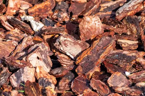 Can Pine Chips Be Used As Bedding For Goats?