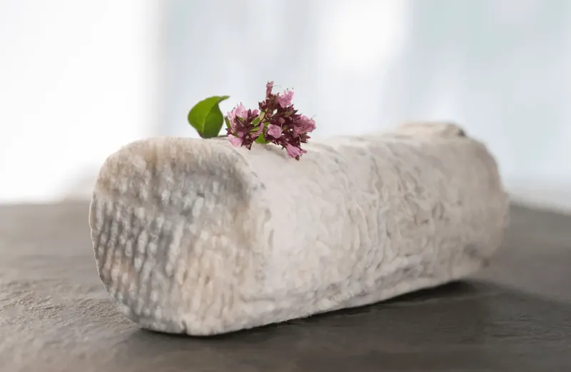 Can You Freeze Goat Cheese?