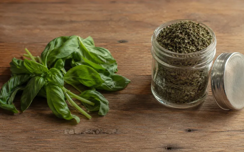 Fresh basil leaves beside a small jar of dried basil for winter feeding