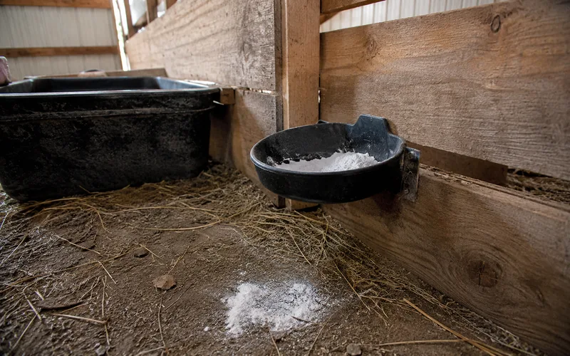 A small bucket of free-choice baking soda mounted inside a goat pen near a water trough