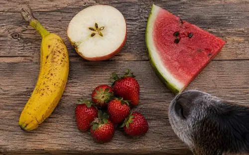 What Fruits Can Goats Eat? The Safe List, Portions, and Dangers
