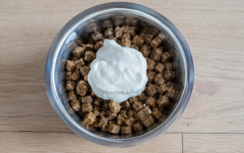 A bowl of dry dog kibble topped with a dollop of plain goat yogurt