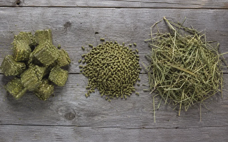 Hay cubes, hay pellets, and loose baled hay shown side by side on a wooden surface