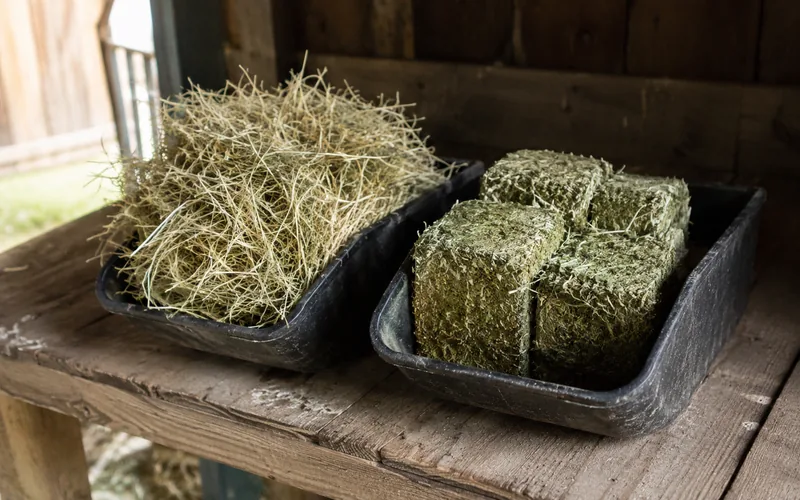 Two identical feed scoops side by side on a barn shelf, one filled with dense hay cubes and one with loose hay showing the weight difference