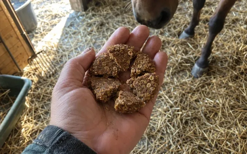 One horse cookie broken into six small pieces in a cupped hand